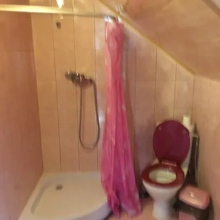 Gasthof юран Mizhhirya (Transcarpathia)